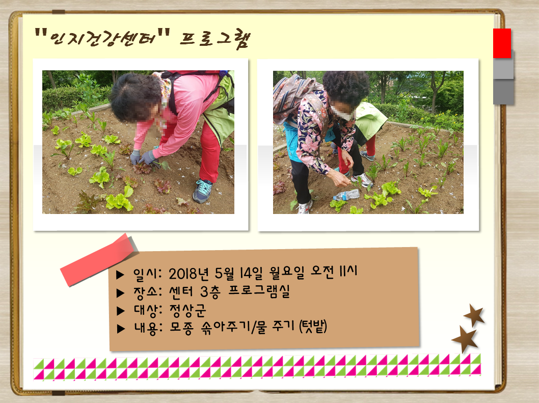 [관악] 인지건강프로그램 정상군 텃밭