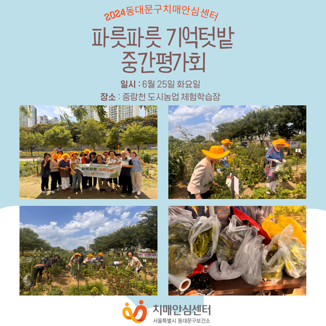 [동대문구] 파릇파릇 기억텃밭 중간평가회