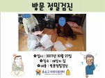 []湮а